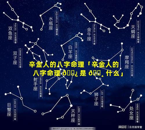 辛金人的八字命理「辛金人的八字命理 🌿 是 🕸 什么」